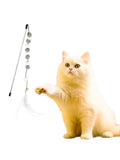 Cat Feather Toys, Interactive Cat Toys Kitten Toys,Gray-white Fur Ball Cat Teaser Wand With Bell, Cute Princess Cat Toy For Interactive Play